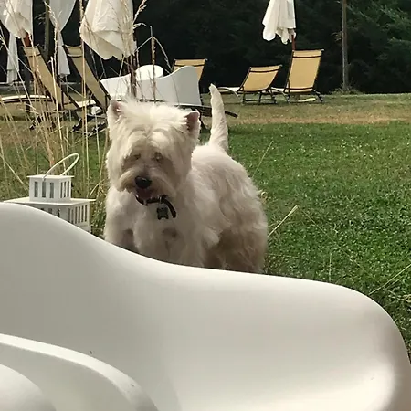 Antico Casale Di לינה וארוחת בוקר