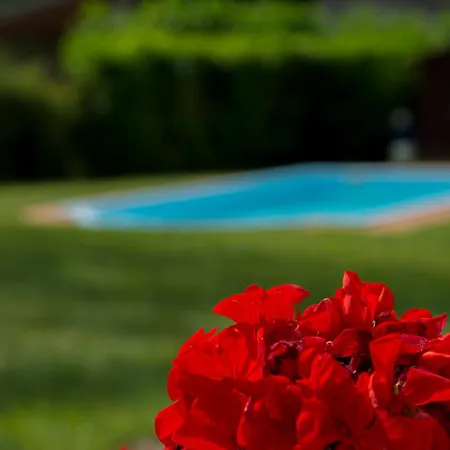 Antico Casale Di 4* בוביו