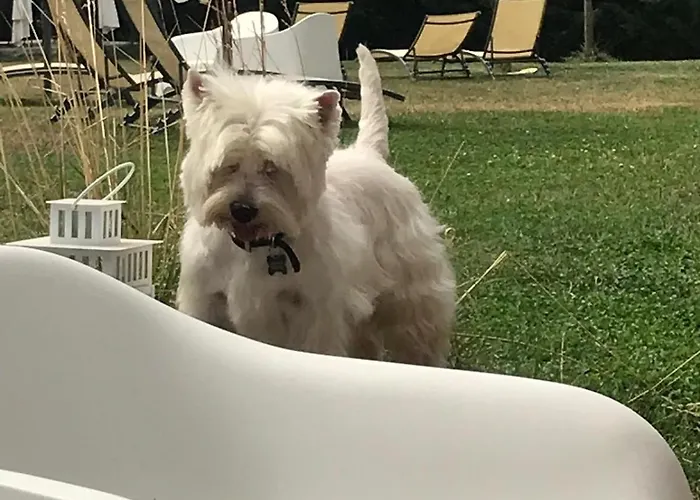 Antico Casale Di Alojamento de Acomodação e Pequeno-almoço